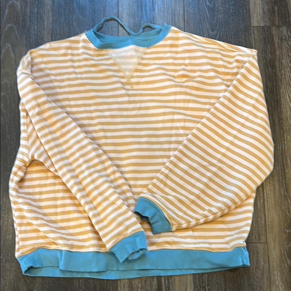 We The Free Tan and Blue Striped Sweatshirt